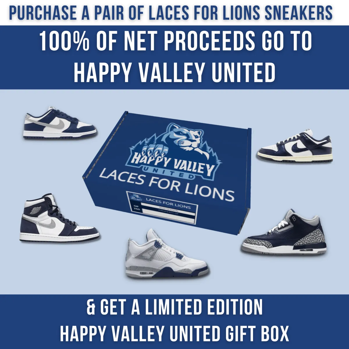 Laces for Lions Air Jordan 4 Retro Midnight Navy